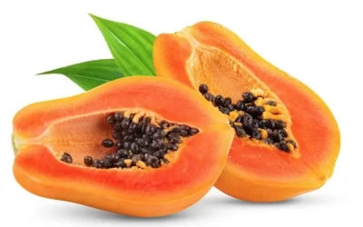 Papaya Fruit