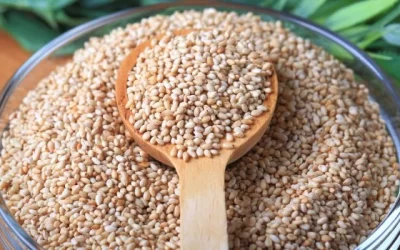 Health Benefits of Sesame Seeds