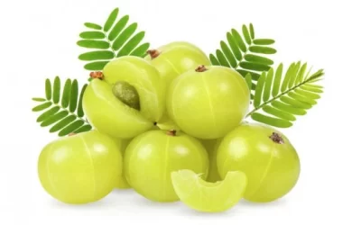 Amla (Indian Gooseberry) Benefits and Side Effects