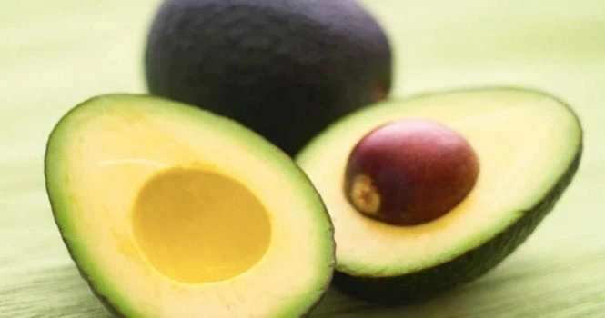 avocado fruit cut