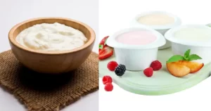 difference between curd and yogurt