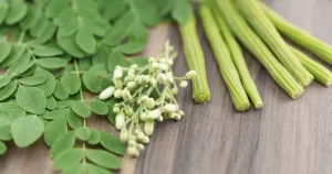 horseradish tree leaves