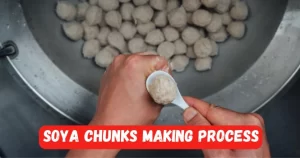 soya chunks making process