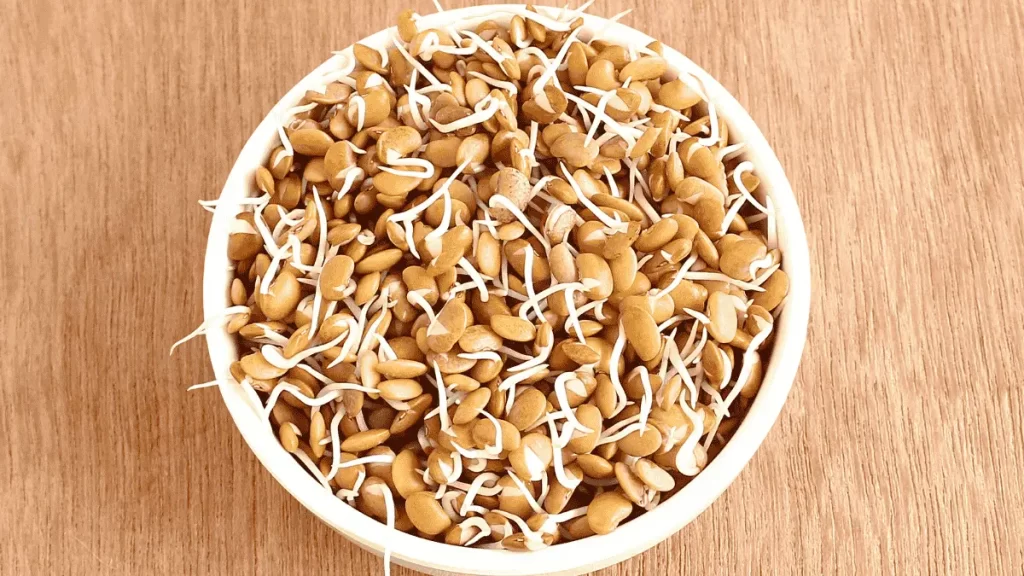 sprouted Horse gram