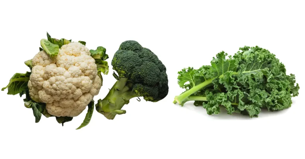 cruciferous vegetables cauliflower broccoli and kale