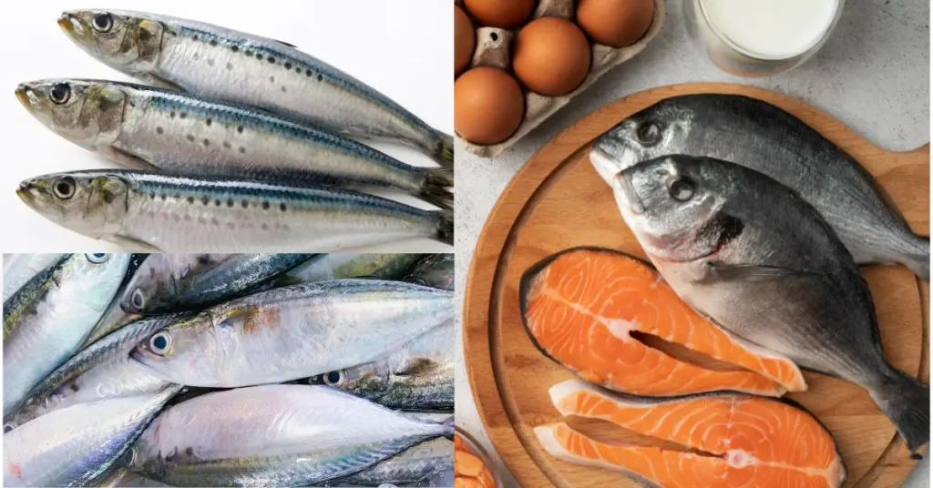 salmon sardines and mackere